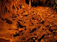 /album/galerie-foto/images-6-jpg1/